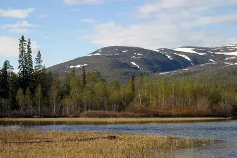 Лапландский заповедник Лапландский заповедник.